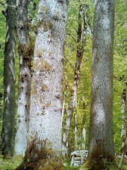 Idee-Möbel GmbH - Home